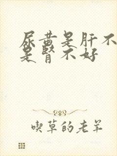 尿黄是肝不好还是肾不好