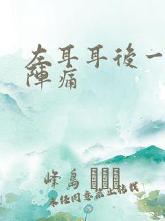 左耳耳后一阵一阵痛