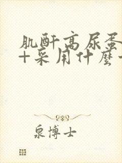 肌酐高尿蛋白2+采用什么方法治疗