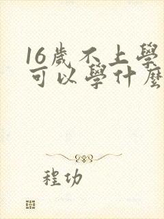 16岁不上学了可以学什么技术