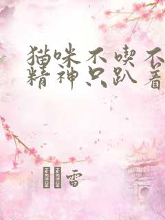 猫咪不吃不喝没精神只趴着怎么回事