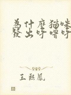 为什么猫咪一直发出呼噜呼噜的声音