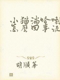 小猫淌哈喇子是怎么回事流口水猫