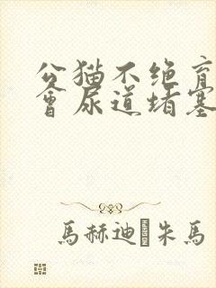 公猫不绝育是否会尿道堵塞