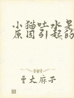 小猫吐水是什么原因引起的