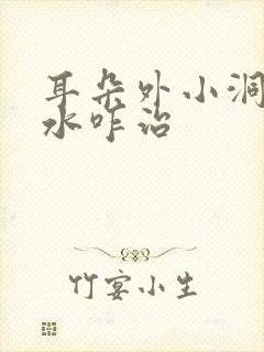 耳朵外小洞发脓水咋治