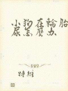 小狗在轮胎上撒尿怎么办