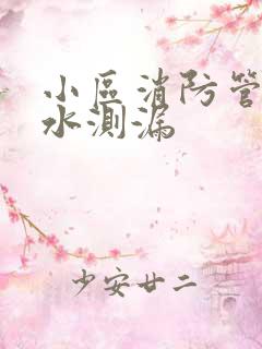 小区消防管道漏水测漏