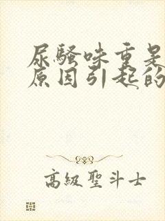 尿骚味重是什么原因引起的