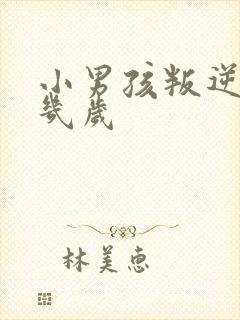 小男孩叛逆期在几岁