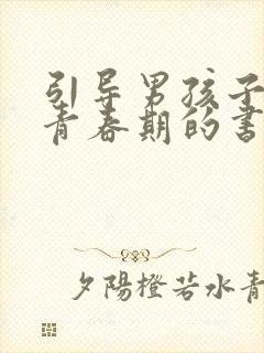 引导男孩子度过青春期的书