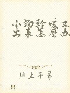 小狗干咳又咳不出来怎么办