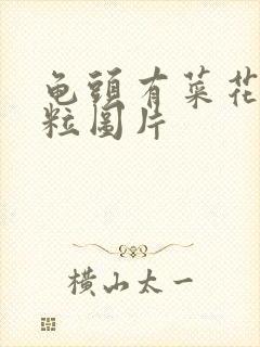 龟头有菜花状肉粒图片