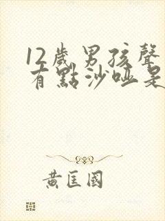 12岁男孩声音有点沙哑是变声吗