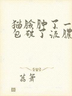 猫脸肿了一个大包破了流脓水