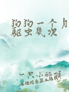 狗狗一个月体外驱虫几次