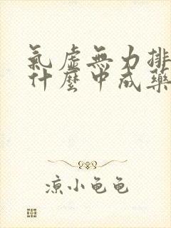 气虚无力排便吃什么中成药好