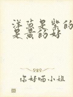 洋葱是紫的好还是黄的好