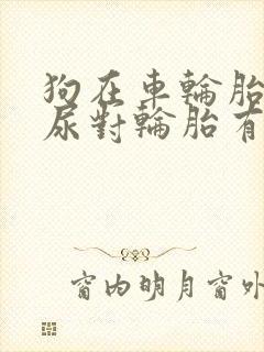 狗在车轮胎上撒尿对轮胎有影响吗