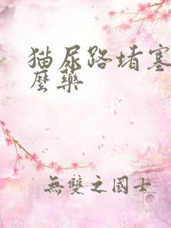 猫尿路堵塞吃什么药