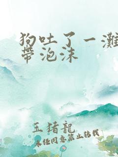 狗吐了一滩黄水带泡沫