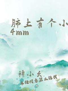 肺上有个小结节4mm