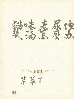 猫咪老尿但就尿几滴怎么办