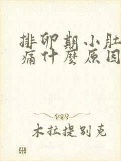 排卵期小肚子闷痛什么原因