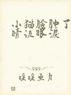 小猫脸肿了,眼睛流眼泪