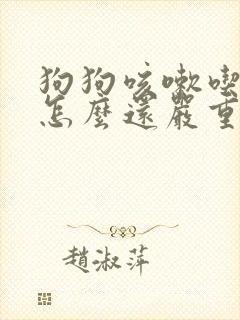 狗狗咳嗽吃了药怎么还严重了