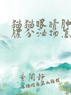 猫猫眼睛肿了流脓分泌物怎么办