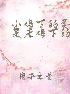 小鸡下的蛋好还是老鸡下的蛋好