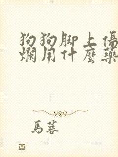 狗狗脚上伤口溃烂用什么药