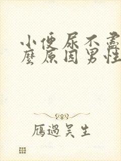 小便尿不尽是什么原因男性