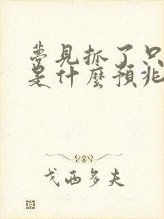 梦见抓了只兔子是什么预兆