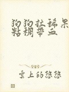 狗狗拉稀果冻状粘稠带血