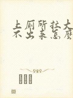 上厕所拉大便拉不出来怎么办