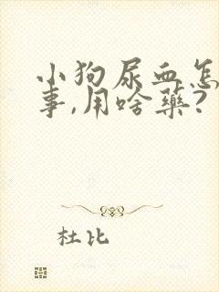 小狗尿血怎么回事,用啥药?