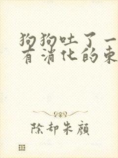 狗狗吐了一堆没有消化的东西