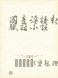 国产淫语对白说脏话小说