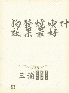 狗发烧吃什么药效果最好