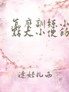 怎么训练小狗定点大小便的方法