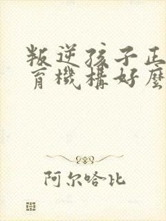 叛逆孩子正规教育机构好么