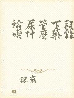 输尿管下段结石吃什么药能尽快排出