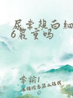 尿常规白细胞46严重吗