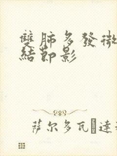 双肺多发微小小结节影