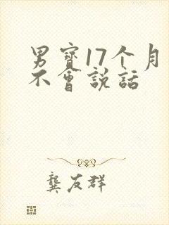 男宝17个月还不会说话