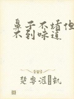 鼻子不堵但是闻不到味道