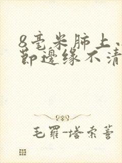 8毫米肺上小结节边缘不清