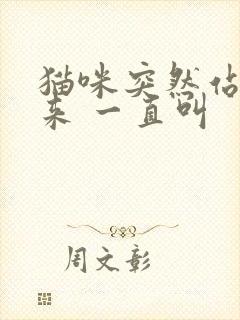 猫咪突然站不起来 一直叫